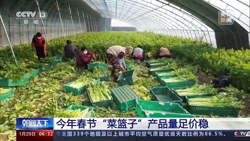 農業技術開發助力菜籃子產品量足價穩，農業農村部力保春節供應
