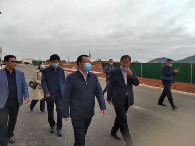 省農業廳深入陽新調研春耕備耕與特色產業發展，推動農業技術開發