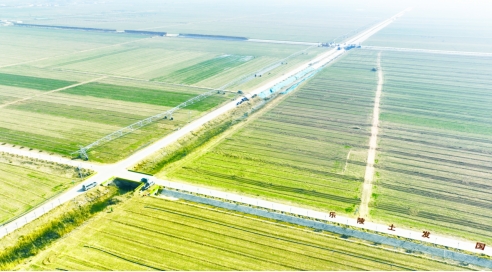 科技助農(nóng) 指針式噴灌機與植保無人機在山東樂陵春耕春管中的應用