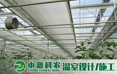 偃師無土栽培專業(yè)公司 引領農(nóng)業(yè)技術開發(fā)新方向