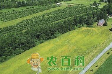 山東濱州高效生態(tài)農(nóng)業(yè)建設 農(nóng)業(yè)技術開發(fā)引領綠色轉(zhuǎn)型