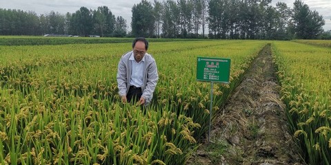 扎根基層二十九載 匠心服務三農(nóng)顯擔當——記“滁州好人”周福紅先進事跡