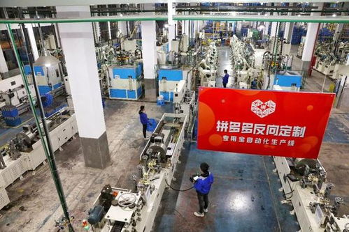 攜手“拼好杯” 新品牌計劃助浙江制造轉型升級，農業科技驅動自創品牌及時止損